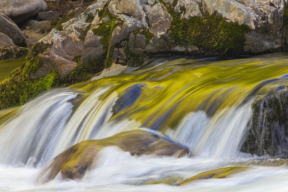 Spring foliage colors and sky reflecting on ripples on stream, Great Smoky Mountains NP, Tennessee